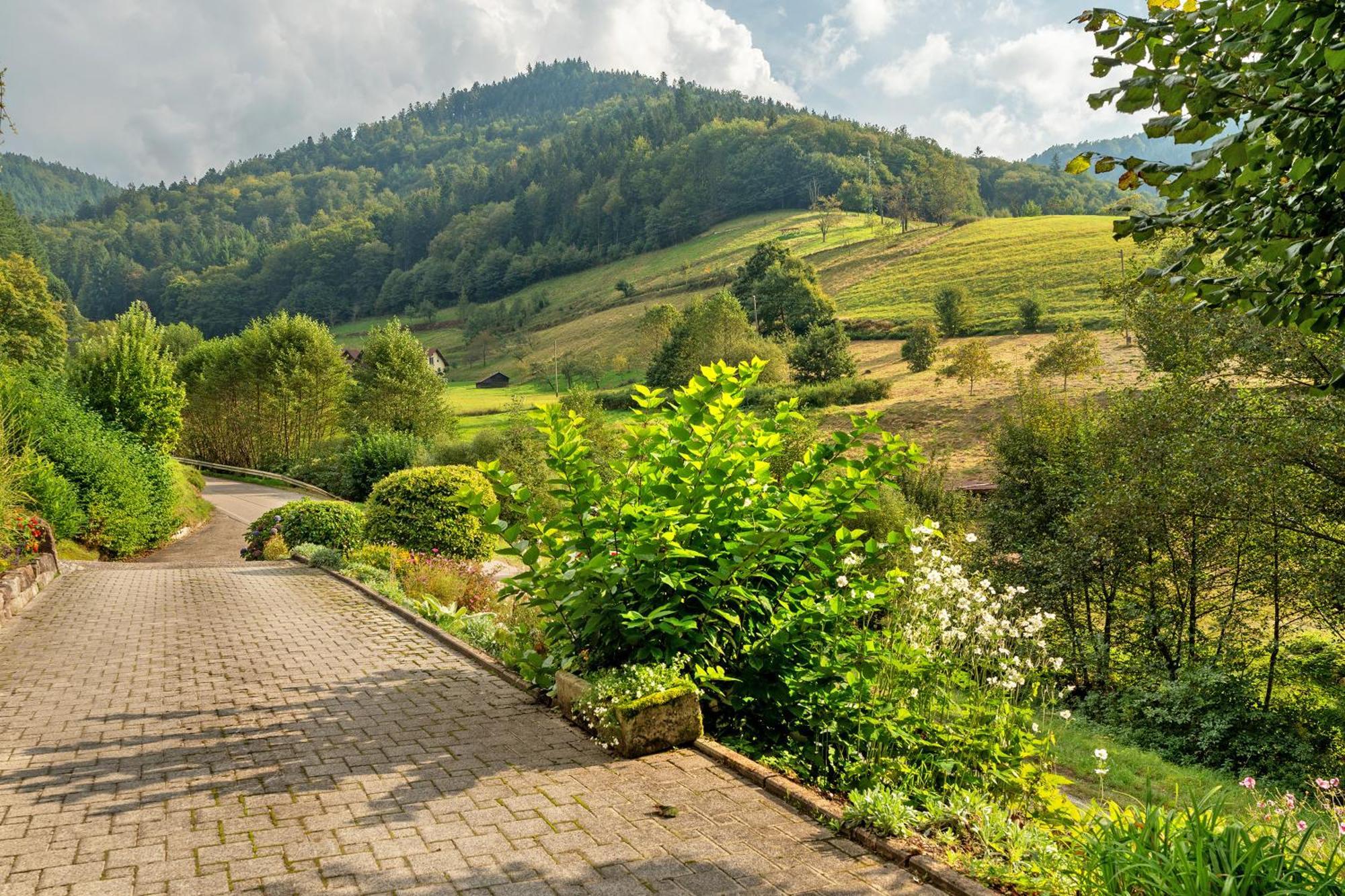 Apartamento Haus Schindler Ottenhofen im Schwarzwald Exterior foto